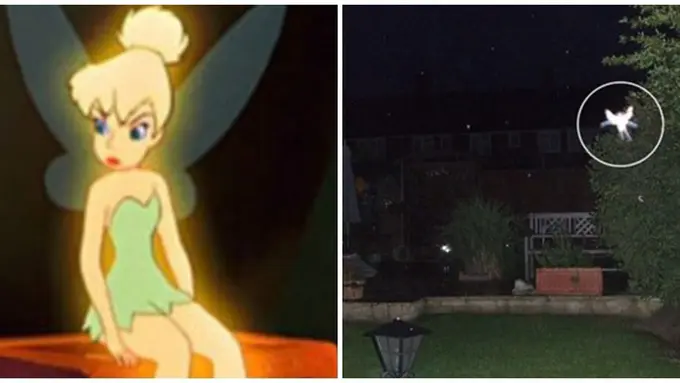 Foto : copyright dailymail.co.uk