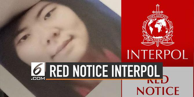 VIDEO: Pengertian Red Notice Interpol, Status Veronica Koman
