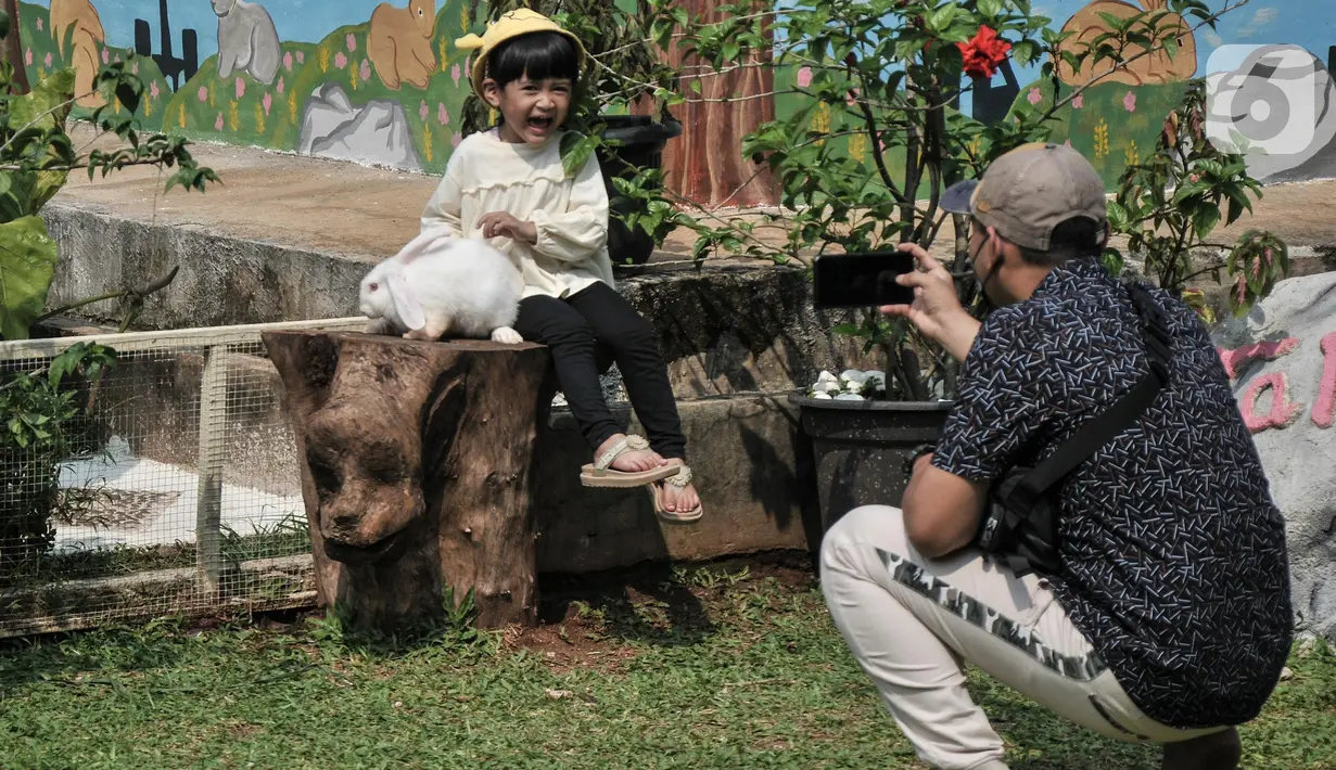 Seorang anak berfoto bersama kelinci di Taman Kelinci Bambu Apus, Pusat Pelayanan Kesehatan Hewan dan Peternakan (Pusyankeswannak), Cipayung, Jakarta Timur, Kamis (30/6/2022). Taman Kelinci Bampu Apus  memiliki jumlah kelinci sebanyak 105 ekor yang dapat dikunjungi oleh warga secara gratis dan menjadi wisata edukasi. (Liputan6.com/Iqbal S Nugroho)