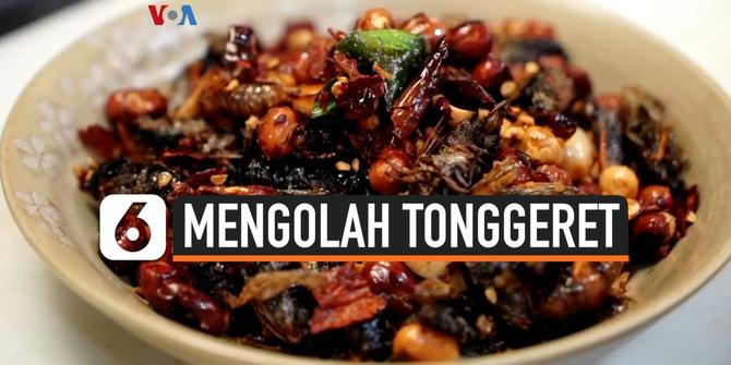 VIDEO: Mengolah Tonggeret Menjadi Santapan, dari Sushi Hingga Cokelat