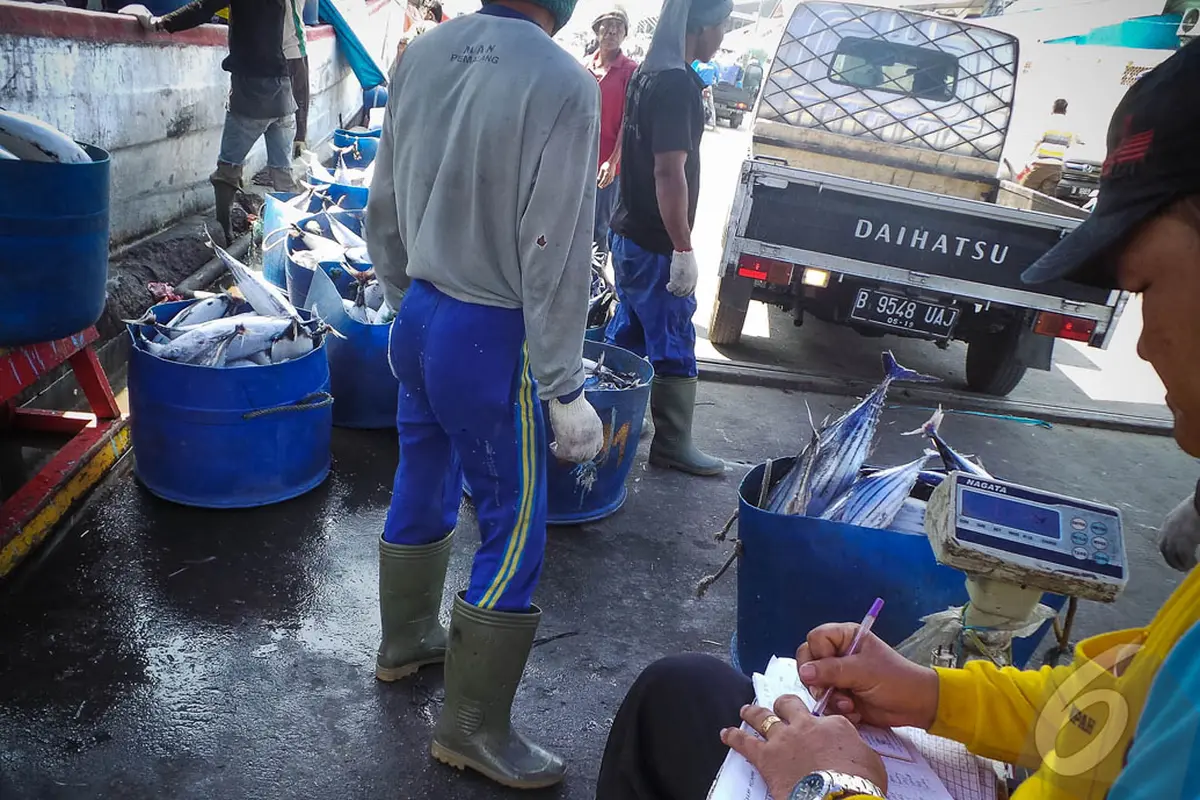  BBM Langka, Harga Ikan Laut Melonjak