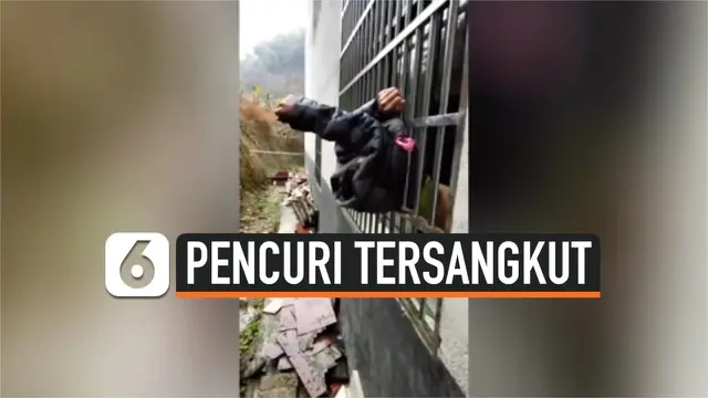 VIDEO: Pencuri Tersangkut Terali Jendela Saat Coba Bobol Rumah