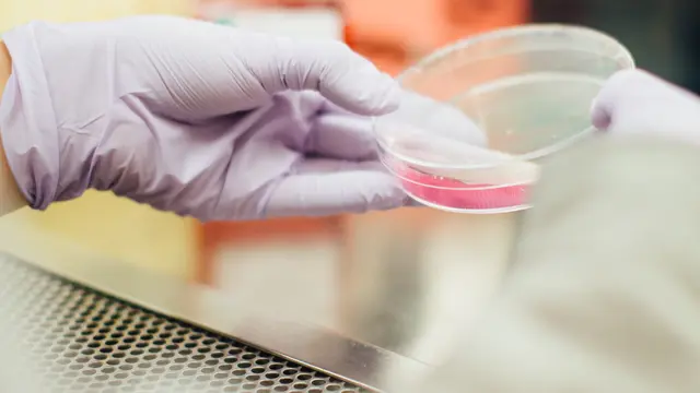 Ilustrasi stem cell