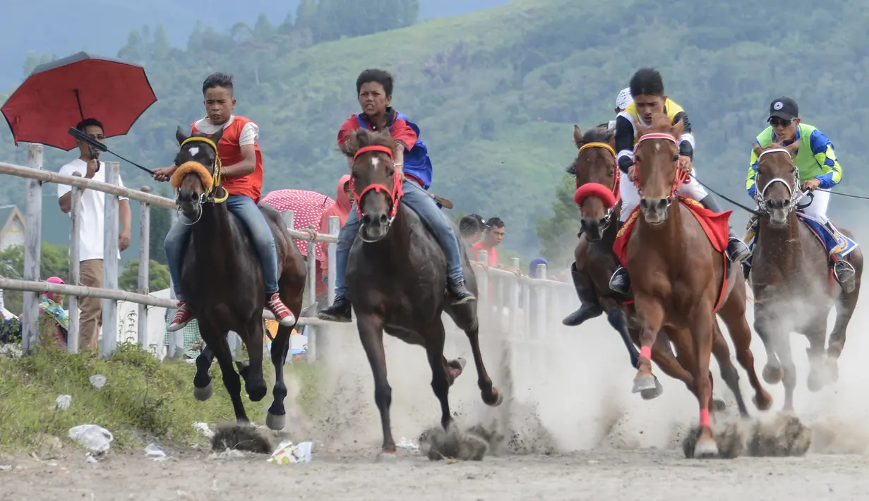 Sejumlah joki muda memacu kuda dalam lomba pacuan kuda tradisional di Takengon, Aceh, 10 Maret 2018. Budaya yang telah diwariskan turun temurun sejak zaman kolonial Belanda untuk merayakan musim panen tahunan. (AFP PHOTO/CHAIDEER MAHYUDDIN)