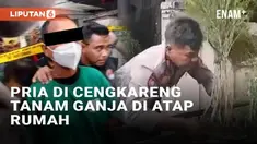 Warga Pedongkelan, Cengkareng, Jakarta Barat dikejutkan oleh penggerebekan polisi ke kediaman pria berinisial AJ (36). AJ diketahui menanam ganja di atap rumah secara sembunyi-sembunyi. Polres Metro Jakarta Barat menemukan 16 pot dan 40 tanaman ganja...