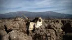 Bangkai sapi terlihat di Danau Aculeo Lagoon yang mengering, Paine, Chile, Jumat (23/8/2019). Menurut Menteri Pertanian Chile Antonio Walker, 2019 adalah salah satu kekeringan terburuk yang dihadapi negara tersebut dalam enam dekade terakhir. (AP Photo/Esteban Felix)