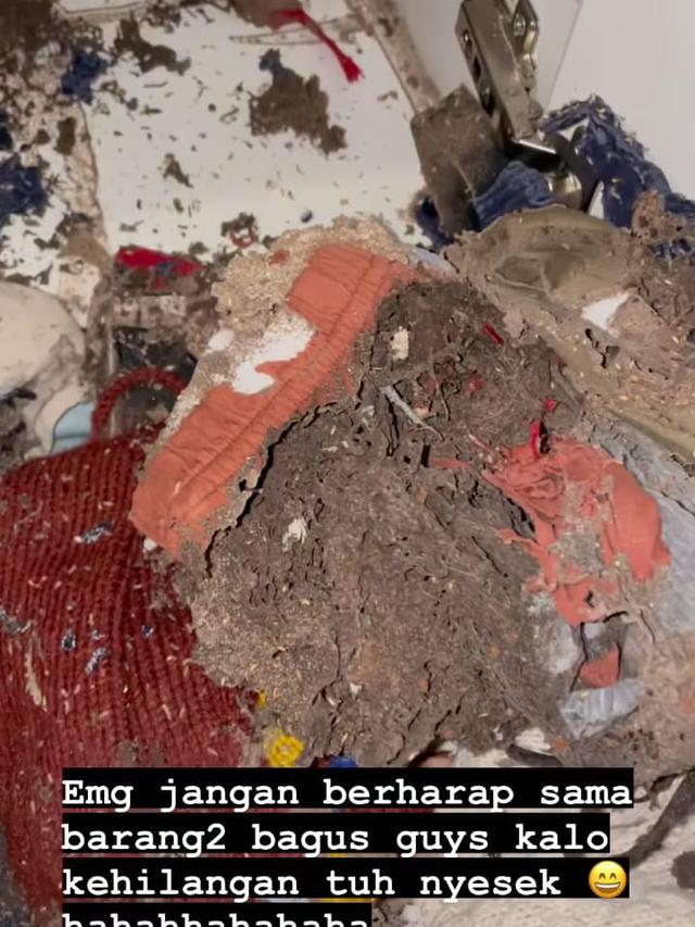 7 Potret Baju Branded Anak Rachel Vennya Dimakan Rayap, Ditaksir Jutaan Rupiah