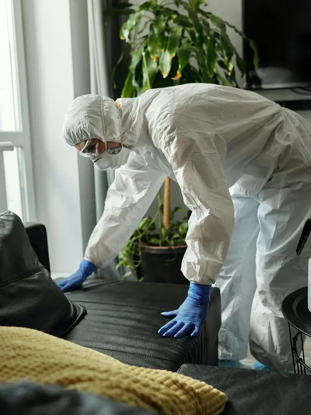 Biar Estetik Maksimal, Ini Tips Menjaga Sofa Ruang Tamu Tetap Bersih dan Bebas Kusam