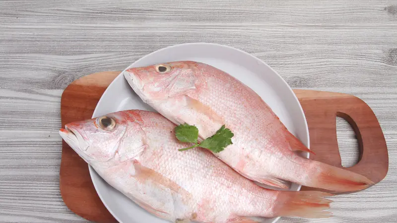 6 Jenis Ikan Mengandung Omega 3 Terbaik