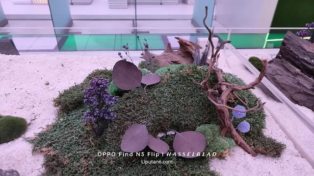 Hasil Foto Oppo Find N3 Flip