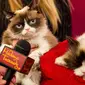 Grumpy Cat--Kucing Penggerutu merupakan kucing yang ikonik, sampai-sampai dibuatkan patung lilinnya, yang juga istimewa.