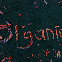 Pentingnya Beralih ke Produk Organik untuk  Bumi dan Tubuh yang Lebih Sehat/dok. Unsplash bethany