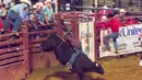 Seorang koboi mengikuti kompetisi rodeo dalam Pameran dan Rodeo Texas (North Texas Fair and Rodeo) 2020 di Denton, Texas, pada 22 Oktober 2020. Akibat pandemi COVID-19, kapasitas di arena rodeo dan gedung pameran tahun ini dibatasi masing-masing menjadi 50 dan 75 persen. (Xinhua/Dan Tian)