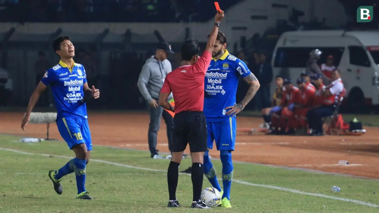 Bojan Malisic, Persib Bandung