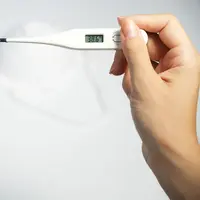 Ilustrasi/Copyright shutterstock/Yasinozturkk