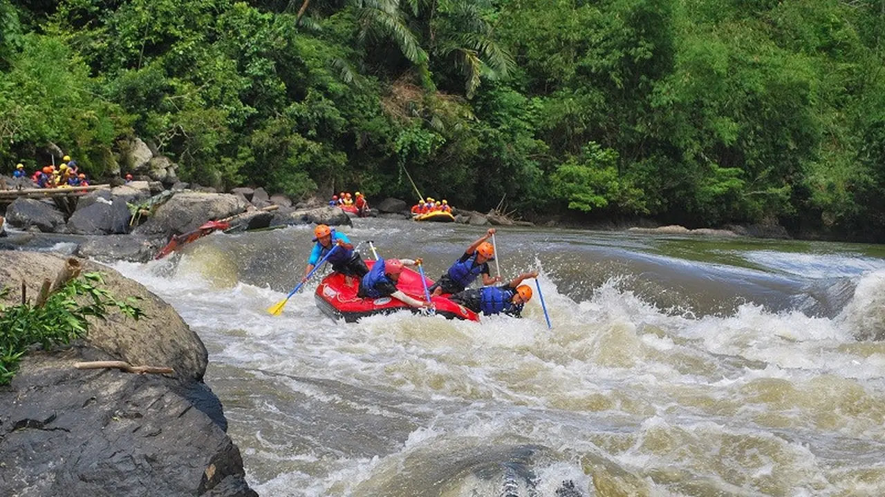 Geopark Merangin