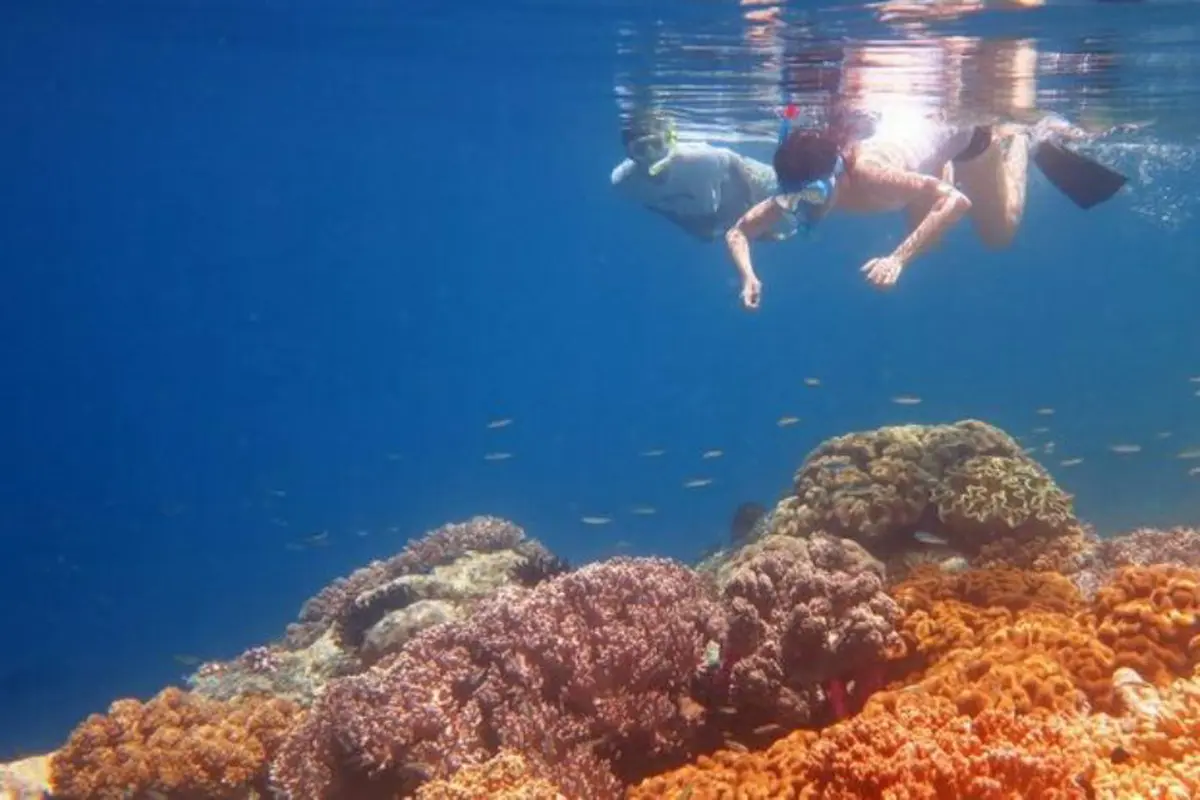 Pantai Tujuh, Tandingan Ora di Maluku Tengah