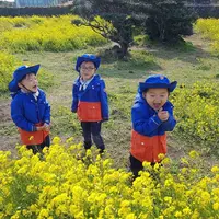 Daehan Minguk Manse (via. Instagram/Songilkook)
