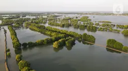 Foto udara suasana Kampung Beting, Desa Pantai Bahagia, Kecamatan Muara Gembong, Bekasi, Jawa Barat, Sabtu (28/8/2021). Menurut penelitian jurnal Environmental Research Letters, kepulauan ini telah mengalami kenaikan air laut selama lebih dari dua dekade. (merdeka.com/Imam Buhori)