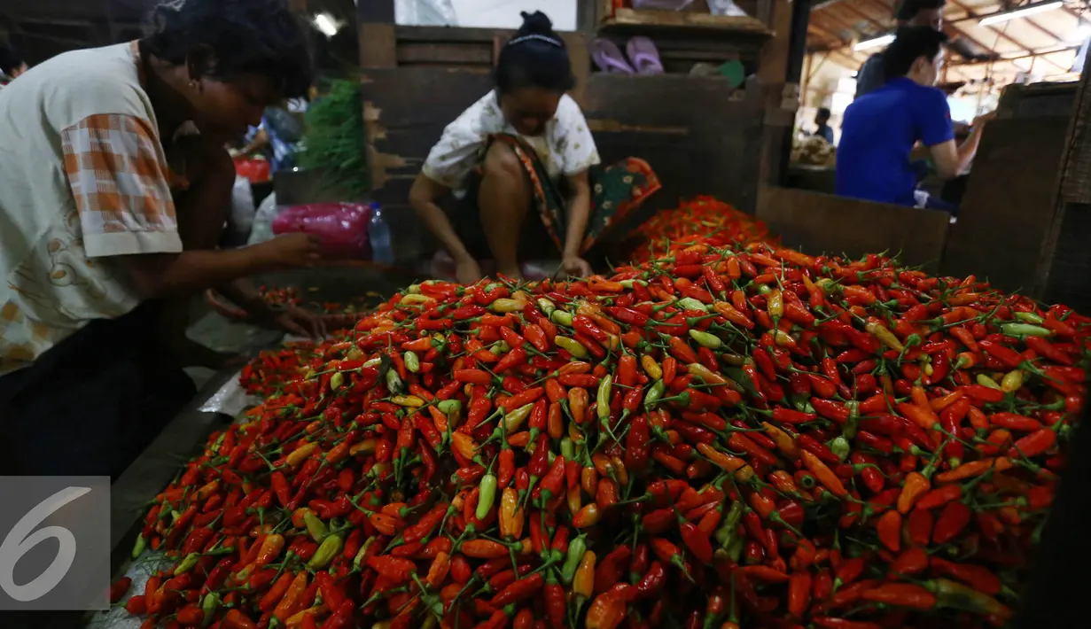 Pedagang merapihkan cabai di Pasar Induk Senen, Jakarta, Kamis (11/6/2015). Mendag, Rachmat Gobel memastikan akan membuka keran impor untuk cabe merah dan bawang merah. Hal ini dilakukan untuk memenuhi kebutuhan jelang ramadan. (Liputan6.com/Johan Tallo)