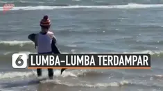 Seekor bayi lumba-lumba ditemukan terdampar di sebuah pantai yang tak diketahui lokasinya. Beruntung, ada seorang wanita yang berhasil menyelamatkan bayi lumba-lumba tersebut.