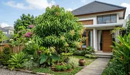 10 Pohon Buah yang Tetap Cantik Sebelum Berbuah, Cocok untuk Taman Rumah
