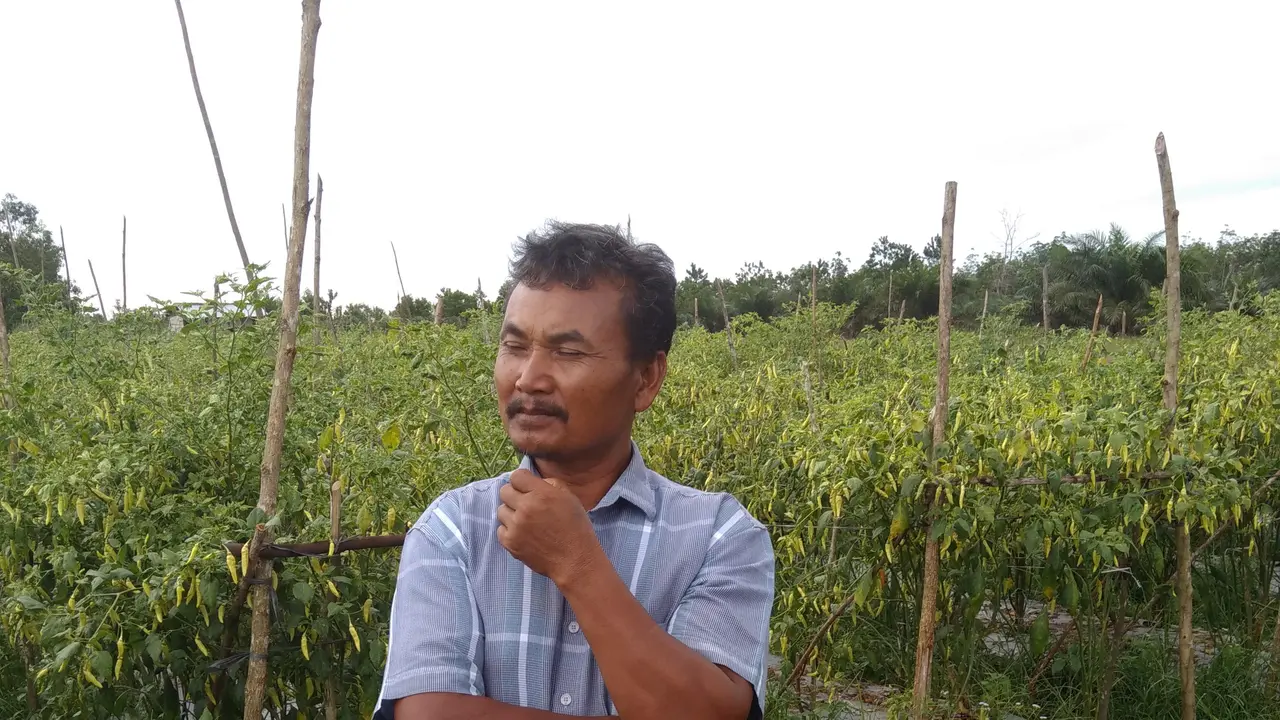 Petani Sukses