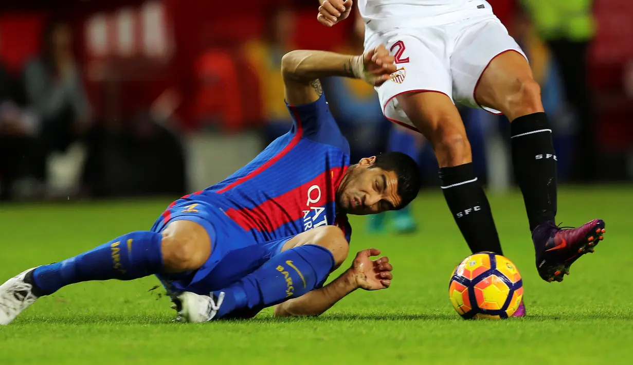 Penyerang Barcelona, Luis Suarez terjatuh saat berusaha merebut bola dari pemain Sevilla pada lanjutan La Liga spanyol di Stadion Sanchez Pizjuan,  Spanyol, (7/11). Barcelona menang atas Sevilla 2-1. (REUTERS/ Marcelo del Pozo)