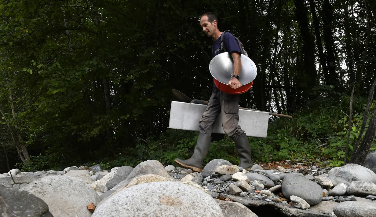 Penambang emas amatir David Bruno membawa peralatan untuk mendulang emas di Sungai Salat, Mercenac, Prancis, 24 Agustus 2020. Pendulangan emas sangat diatur di Departemen Ariege Prancis dan dicadangkan untuk penambang emas amatir. (GEORGES GOBET/AFP)