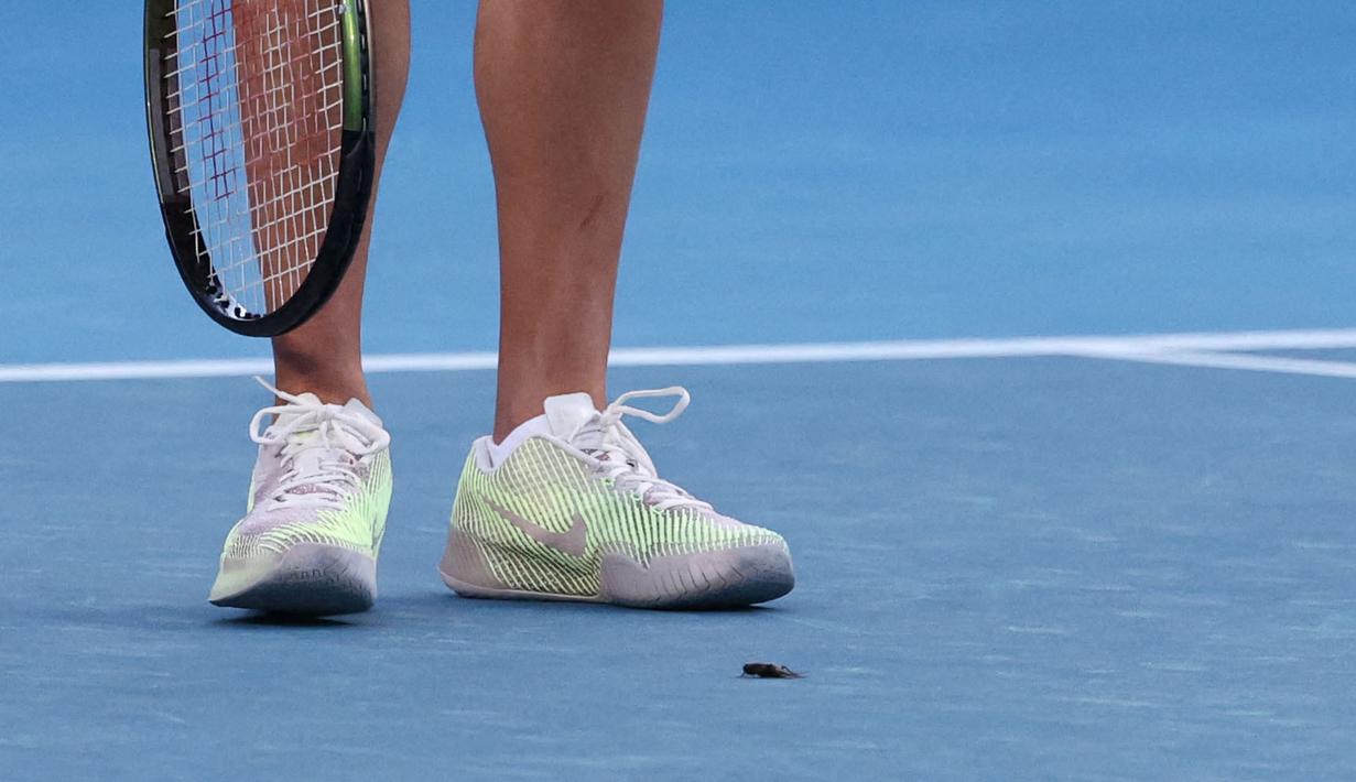 Seekor serangga di dekat kaki petenis Inggris, Emma Raducanu saat laga Australia Open 2024 melawan petenis Amerika Serikat di Melbourne Park, Melbourne, Australia, Selasa (16/01/2024). (AFP/David Gray)
