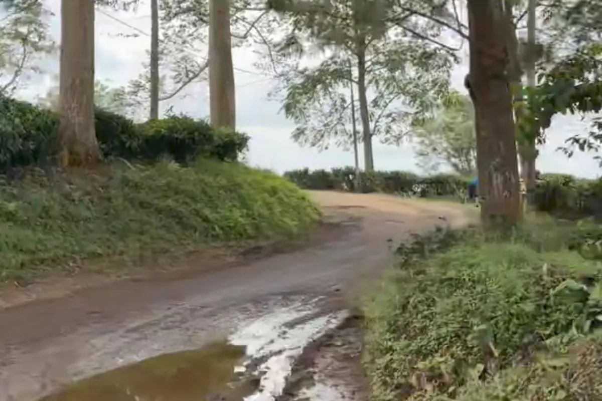Pondok Halimun Sukabumi Tetap Jadi Primadona Wisata Saat Libur Panjang Rusak
