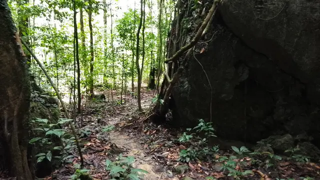 Rute perjalanan Gunung Api di di Taman Mulu, Borneo, Malaysia. (Dokumen: Gunung Bagging https://www.gunungbagging.com/api/nggallery/page/2)