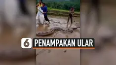 THUMBNAIL piton