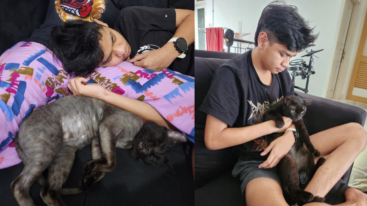 David Ozora dan Kucing Hitam yang Tak Lain Hewan Peliharaan Kesayangannya. Rupaya, Kucing Hitam Menggemaskan Ini Punya Kisah yang Mirip dengan David Latumahina, Pernah Sama-Sama Dirawat Selama 2 Bulan di ICU (twitter.com/seeksixsuck)