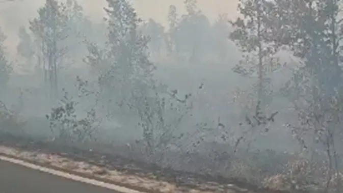 Anak Sekolah di Tengah Kepungan Asap Kebakaran Hutan Kalimantan