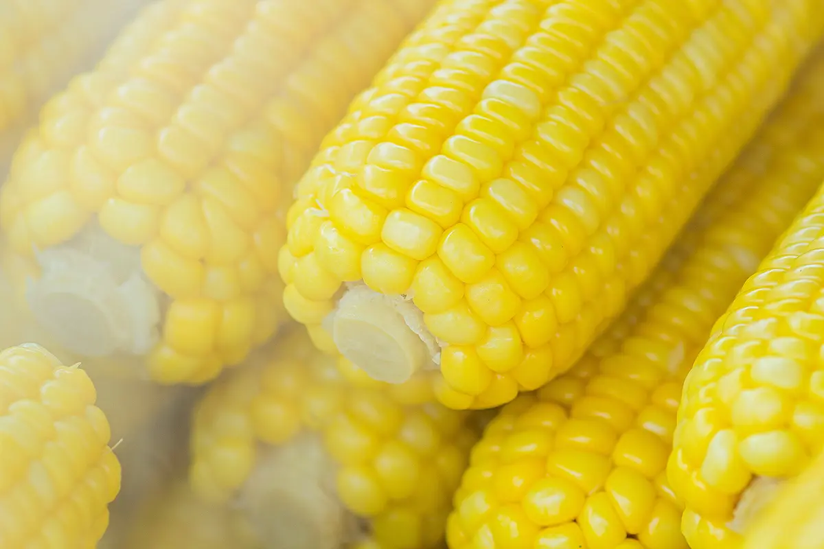 [Fimela] jagung