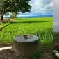 6 Potret WC dengan Konsep Alam Bebas Ini Bikin Tepuk Jidat (sumber: Boredpanda dan Instagram/sukijan.id)
