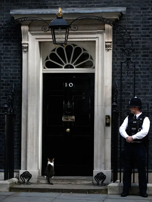 Petugas mengamati Larry, kucing berstatus PNS, yang sedang duduk di luar kantor PM Inggris, Downing Street 10, London, Rabu (13/7). Larry diadopsi dan dibawa ke Downing Street setelah seekor tikus tampak di dua siaran televisi. (Adrian Dennis/AFP)