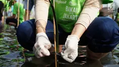 Karyawan PT Indofood Sukses Makmur Tbk menanam pohon bakau di Pesisir Merunda, Jakarta Utara, Sabtu (4/8). Kegiatan menanam 2000 batang pohon digelar dalam rangka menyambut hari Mangrove sedunia. (Liputan6.com/HO/Eko)