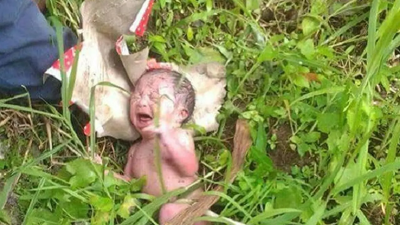 Kisah Sedih di Balik Temuan 'Boneka' Bayi Bergerak di Semak-Semak