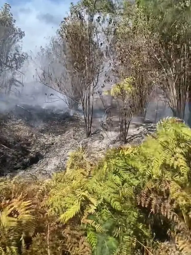 6 Potret Kondisi Terbaru Bromo Usai Terbakar Diduga Gara-Gara Prewedding Pake Flare