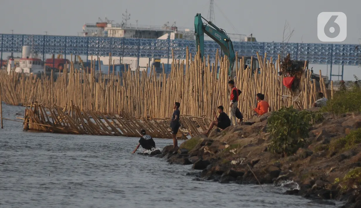 Sejumlah pekerja tampak memasang turap bambu yang menjadi penangkal abrasi di pesisir pantai kawasan Pelabuhan Marunda Center Terminal (MCT) Jurong Port JV, Tarumajaya, Bekasi, Jawa Barat (23/6/2023). (merdeka.com/Imam Buhori)