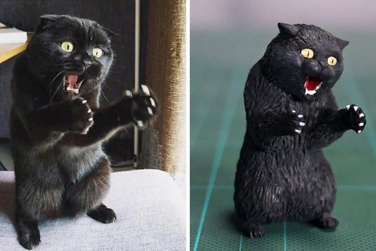 kucing