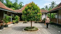 19 Jenis Pohon yang Akarnya Cenderung Aman untuk Halaman Berubin dan Bangunan