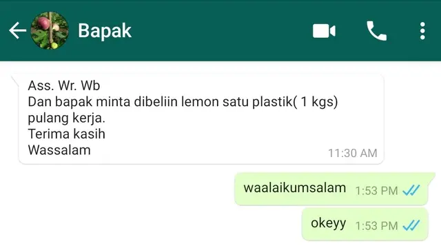 6 Chat Lucu Antara Anak dan Bapak Ini Bikin Senyum-senyum
