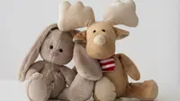 6 Tips Cara Menyimpan Boneka agar Tidak Kotor dan Cepat Rusak