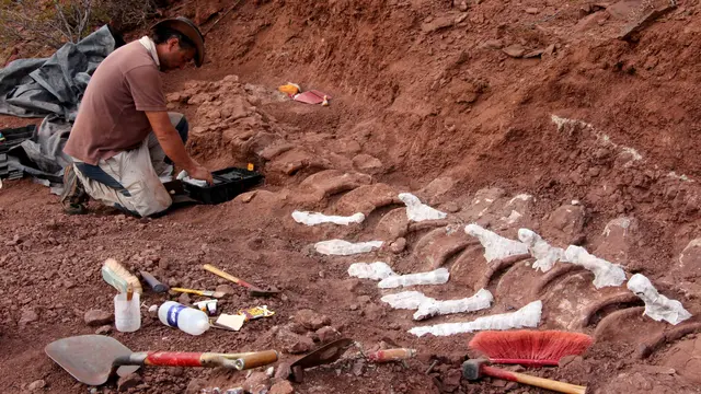 Fosil Dinosaurus Raksasa di Argentina