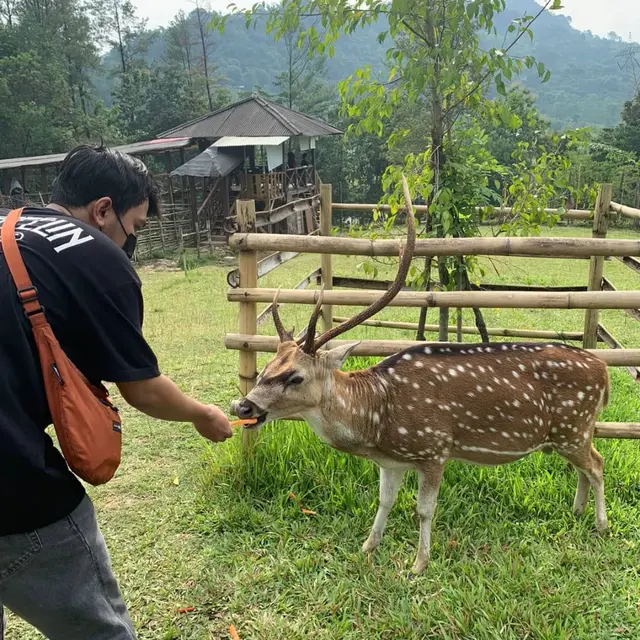 Tempat Wisata Memberi Makan Hewan di Bogor