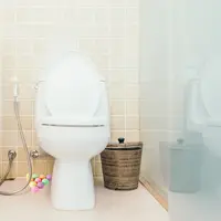 Menjaga Kebersihan Rumah untuk Cegah Virus Covid-19/dok. Dahlia