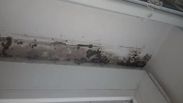 Rembesan Air di Atap Rumah